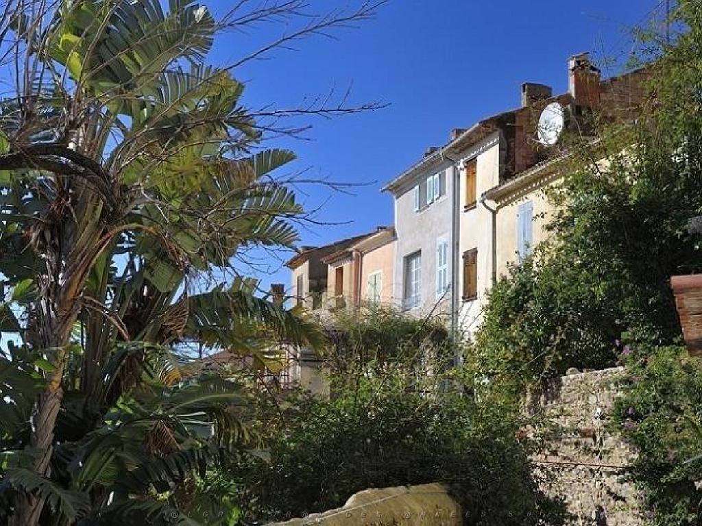 183 D23 BORMES LES MIMOSAS 1_000018.jpg